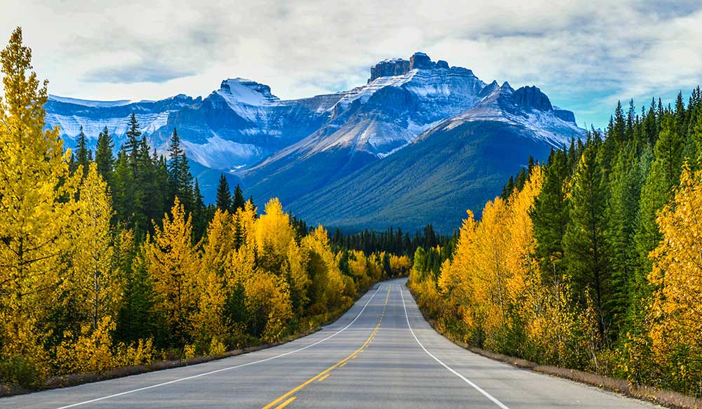 Vorbereitung auf die Rückkehr zur Normalität